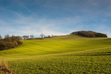 landscape with hills, trees and blue sky