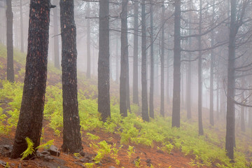 Gran Canaria, October