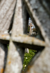 Abstract view of a very old churchyard with a distant gravestone seen through a nearby cross shaped grave.