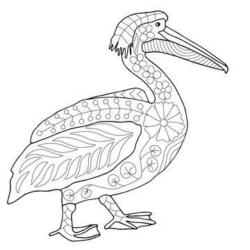 recommend clip art: Pelican bird zentangle coloring page vector illustration for creativity