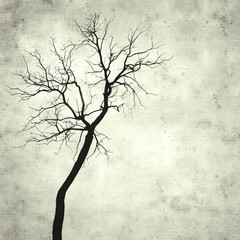  old paper background