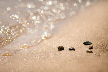 footprints in the sand