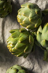 Raw Green Organic Artichokes