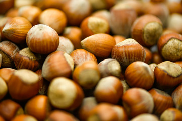 hazelnuts on a wooden background
