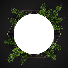 Christmas background with fir branches on dark background, vector illustration