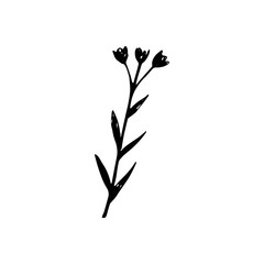 Cute single hand drawn floral elements. Doodle vector illustration for wedding design, logo and greeting card.