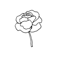 Cute single hand drawn floral elements. Doodle vector illustration for wedding design, logo and greeting card.