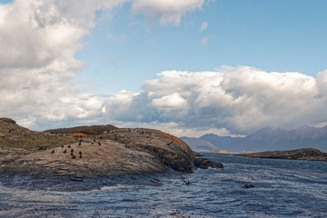 Argentina, Patagonia – island with birds