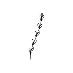 Cute single hand drawn floral elements. Doodle vector illustration for wedding design, logo and greeting card.