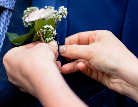 1 232 Best Broche Images Stock Photos Vectors Adobe Stock