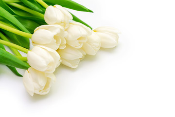 Bouquet of white tulips on a white background. Copyspace. Flowers on a white background.