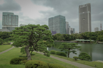 Obraz premium Park and Buildings Tokio 07