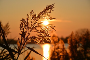 Hintergrund, Sonne, Abendrot, Landschaft