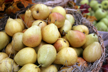 Ripe pears and apples on straw in a wicker baskets decorated with autumn leaves. Harvest holiday, festive decorations, farm market
