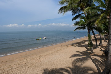 Fototapeta premium beach with palm trees