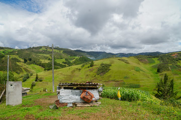 Highlands of Ecuador Chilcatotora 