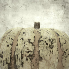  old paper background