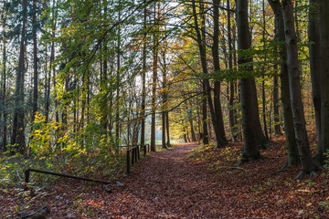 Herbststimmung am Fuße des Hörselberges