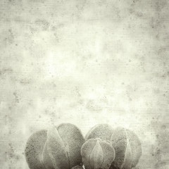  old paper background