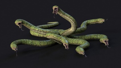 Seven-headed Hydra. 3d illustration