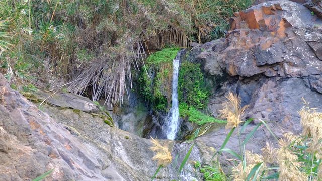 Eine Quelle am Barranco del Almaciga. Ein sch&ouml;ner Kontrast zu der Steilk&uuml;ste und dem rauen Atlantik.
