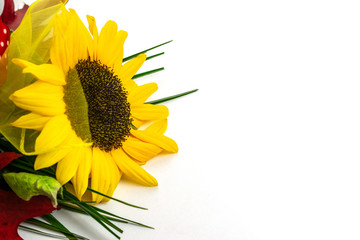 Obraz premium Flowers background isolated on white. Autumn leaves. Happy birth