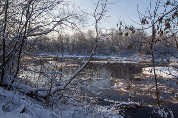 overgrown riverbank, snowy winter