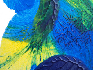 Obraz premium The acrylic painting with blue, green and yellow color texture on white paper background by using rorschach inkblot method.