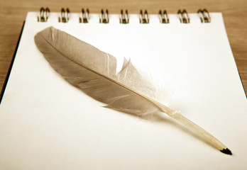 bird feather in the form of a pen on a white notebook