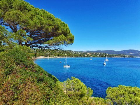 Paysage m&eacute;diterran&eacute;en vu depuis un sentier du littoral de la C&ocirc;te d'Azur