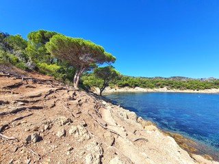 Fototapeta na wymiar Splendide paysage méditerranéen de la Côte d'Azur en France depuis un sentier du littoral