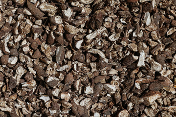 Texture of pile of raw cassavas. Background of raw maniocs.