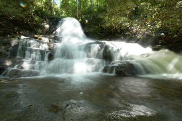 Fototapeta premium waterfall in forest