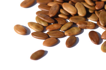 Albizia Julibrissin Seeds