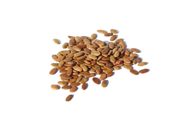 Albizia Julibrissin Seeds