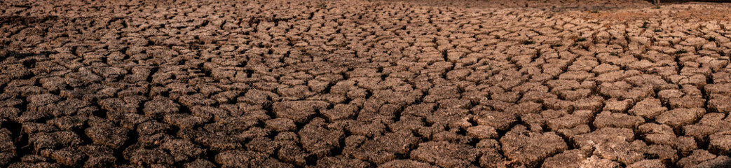 Cracked and dry soil in arid areas landscape