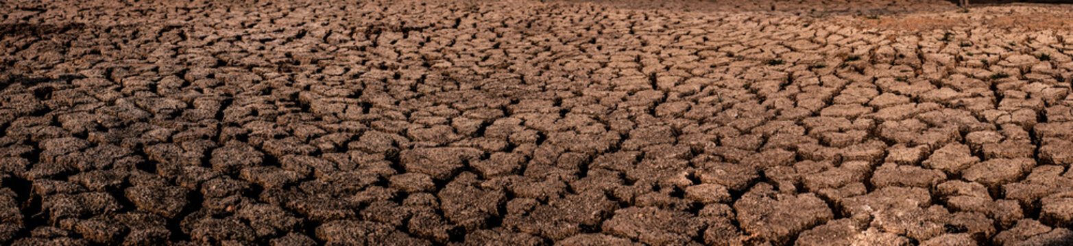 Cracked And Dry Soil In Arid Areas Landscape