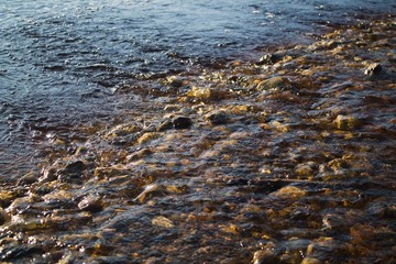 каменистое устье речки