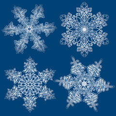 Snowflakes. Set of graphic, vector snowflakes on a blue background.