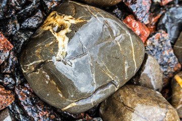 Wet, round stones lie at the bottom of the fountain. Round, big wet pebbles. Stone texture.