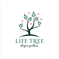 Fototapeta na wymiar life tree logo