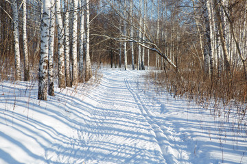 ski run