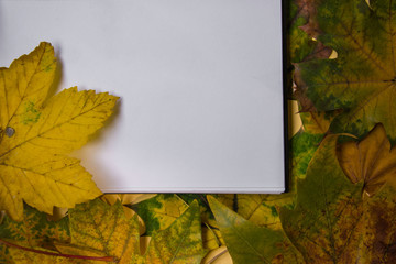 Naklejka na ściany i meble White paper for text, copy space, beautiful fallen yellow, green and brown autumn leaves in the background, flat lay fall composition, notebook top view