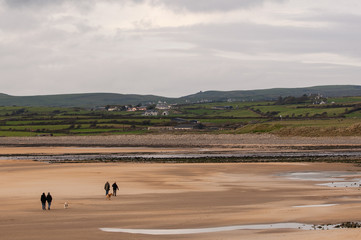 Fototapeta na wymiar Lahinch Beach in county Clare. West coast of Ireland. Scenic Irish coastline view. Two unidentifiable couples walking their dogs in the sand. Beautiful Irish coastline. Overcast day.