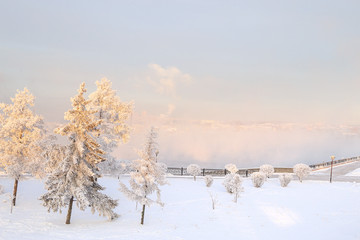 Winter landscape of frosty trees, white snow in city park. Trees covered with snow in Siberia, Irkutsk near lake Baikal. Extremely cold winter