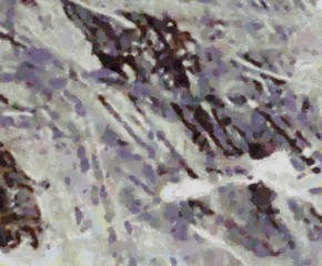 Abstract watercolor background. Hand drawn scratched grunge unusual texture. Custom design pattern. Digital painting oil artwork.