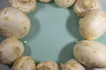Fresh champignon mushrooms isolated on turquoise plate