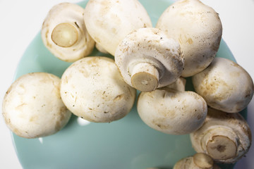 Set of fresh raw mushrooms (champignons) isolated on plate on white background
