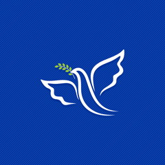 Fototapeta na wymiar Dove, a symbol of peace and purity. The biblical symbol of the Holy Spirit.