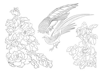 Peony tree branch with flowers with pheasants in the style of Chinese painting on silk. Coloring page for the adult coloring book. Outline vector illustration.